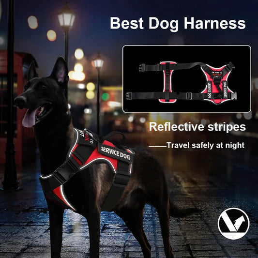 Park Patrol Harness: Nighttime Safety and Daytime Comfort in Charming Colors