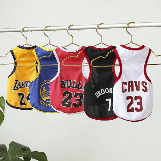 MVP Pooch Jerseys: Sporty Chic for Your Four-Legged Athlete