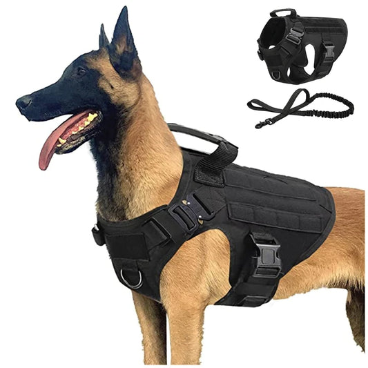 "Commando Tactical Dog Vest: For Stylish Adventurers"