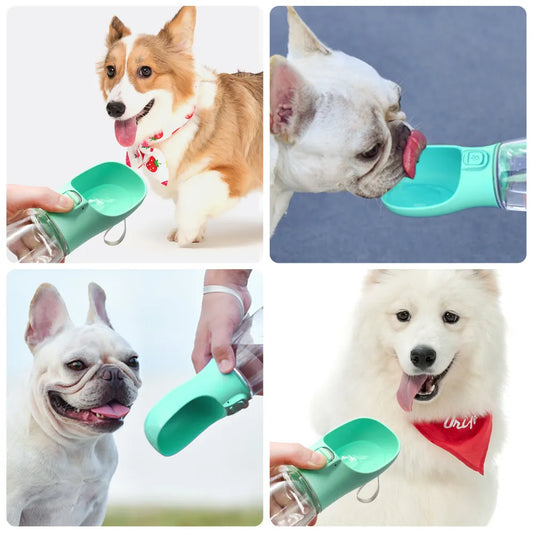 On-the-Go Doggy Drinking Kit: Refreshment on the Move