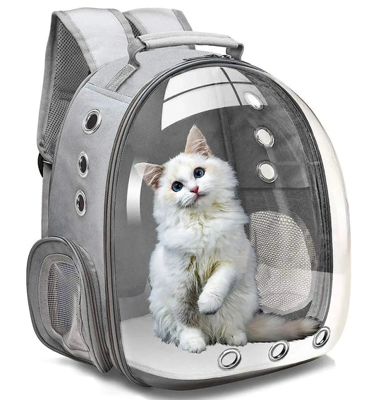 The Catstronaut Backpack: A Purrfect Panoramic View"
