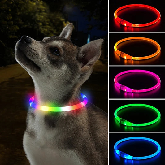 "Luminous LED Collars: Colorful Visibility for Nighttime Safety